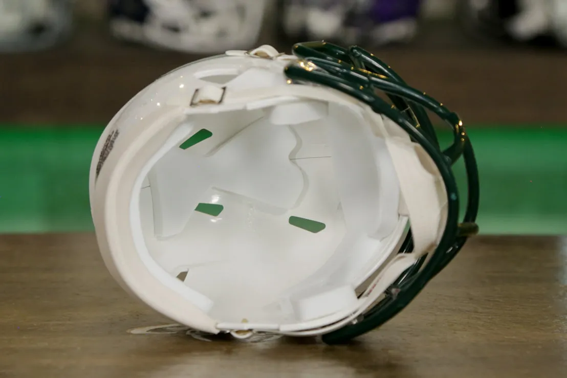 North Carolina Charlotte 49ers Riddell Speed Mini Helmet