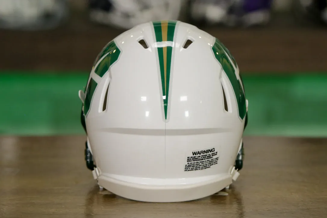 North Carolina Charlotte 49ers Riddell Speed Mini Helmet