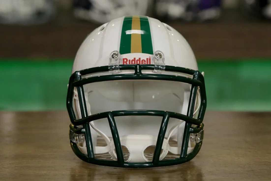 North Carolina Charlotte 49ers Riddell Speed Mini Helmet