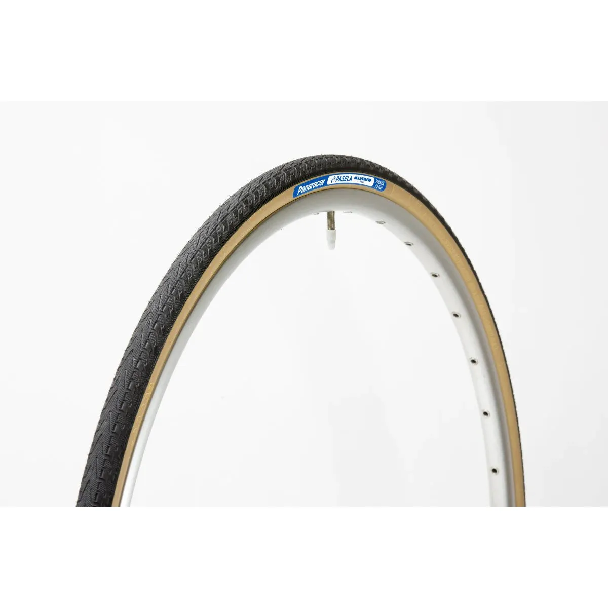 Panaracer Pasela ProTite Commuter Tire 26 x 1.25, Wire Bead