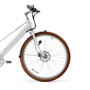 Schwalbe Fat Frank Balloon Tires - Tan